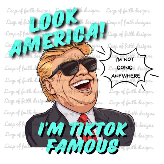 Look America Im TikTok famous (2 designs)