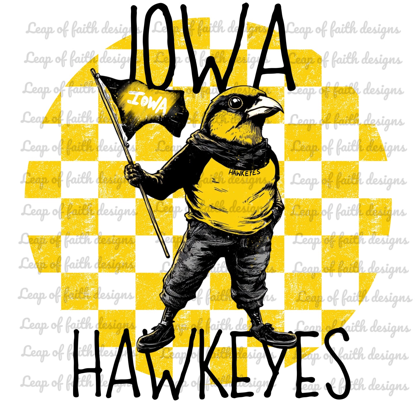 Iowa hawkeyes