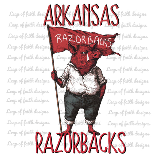 Arkansas razor back