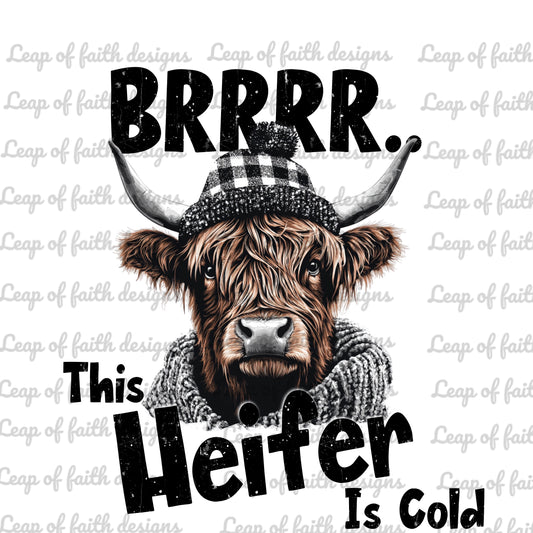 Brrrrr this heifer is cold